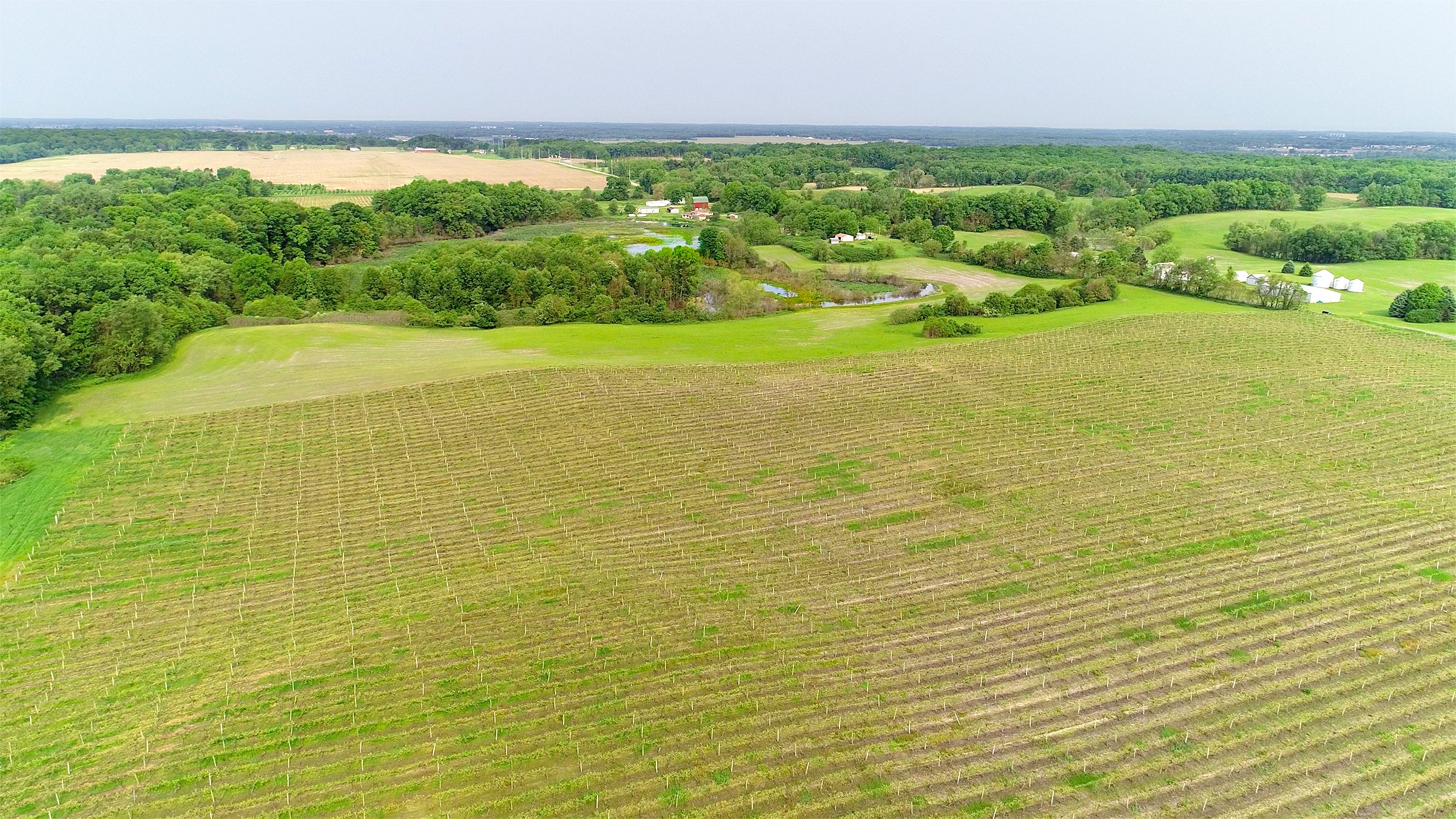 Van Buren County, Michigan farmland - LAND AUCTION - 194+/- ACRES OFFERED IN 5 TRACTS IN VAN BUREN COUNTY, MICHIGAN